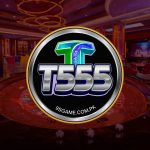 T555 Game